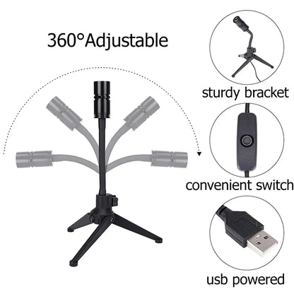 2-In-1 Projection Lamp