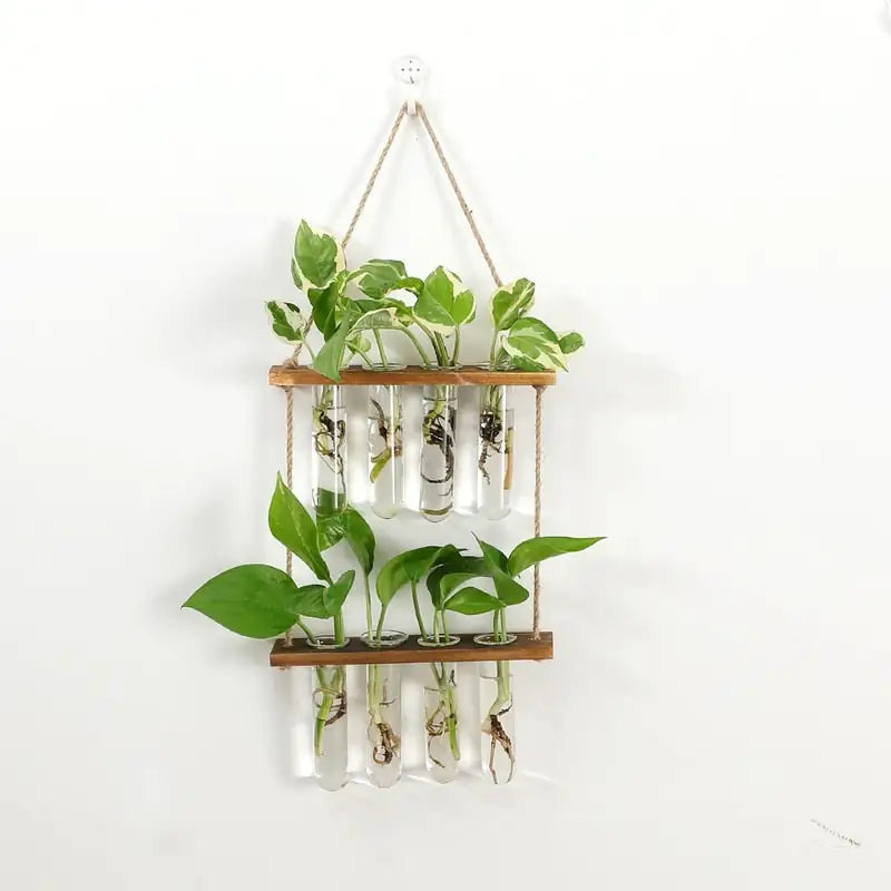 Wall Hanging Test Tube Propagation Station