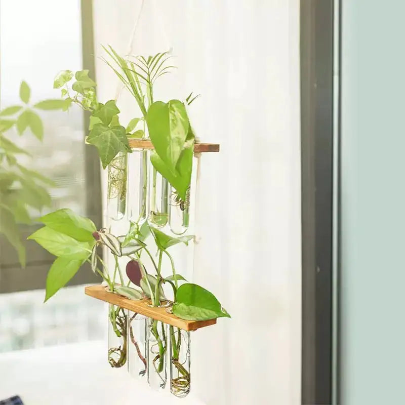 Wall Hanging Test Tube Propagation Station