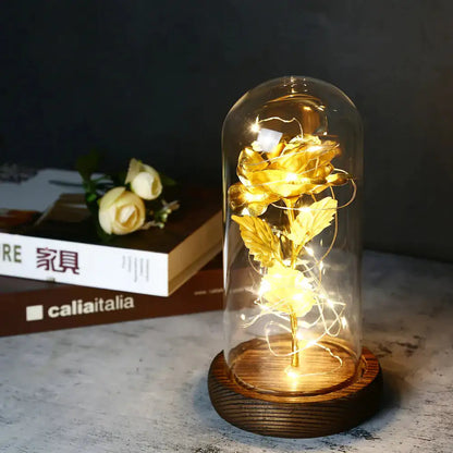 Galaxy Rose Eternal Lamp