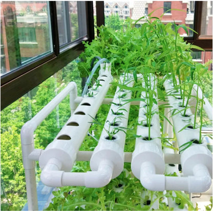 Hydroponic System Grow Kit