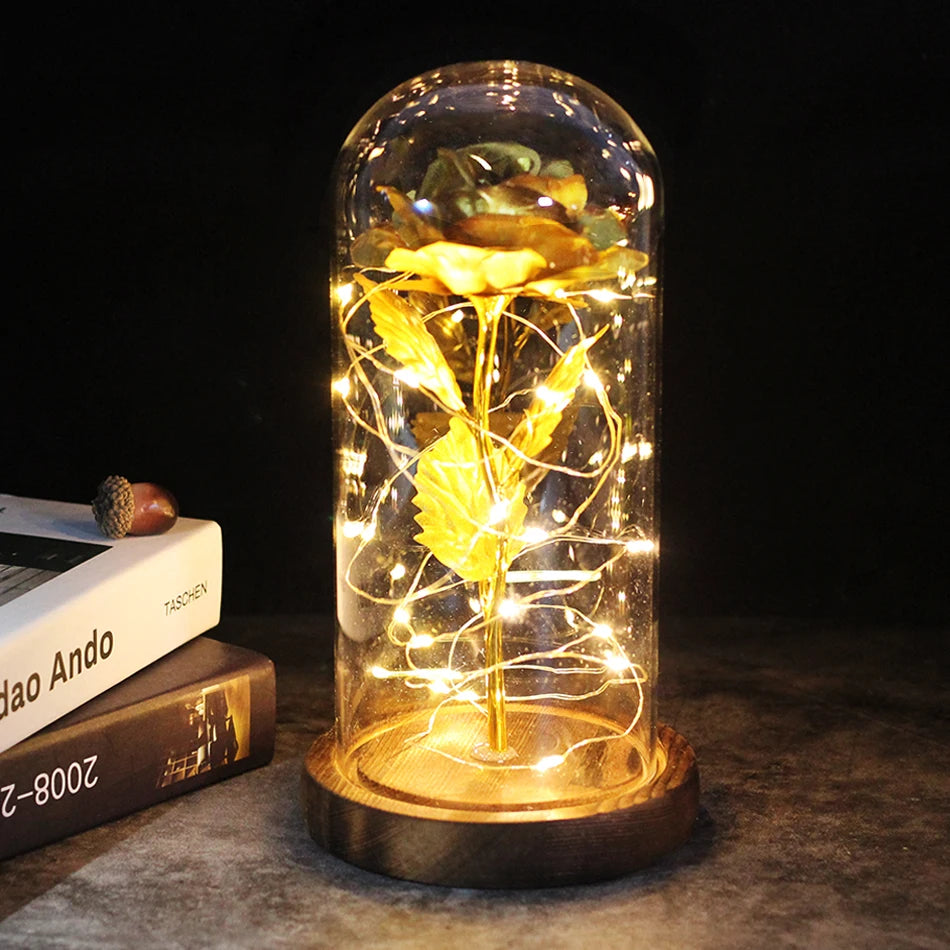 Galaxy Rose Eternal Lamp