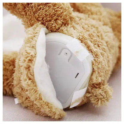 Teddy Bear Peekaboo Toy