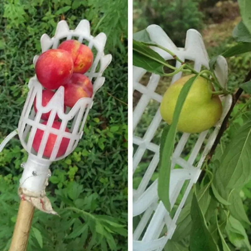 Multi-Color Garden Fruit Picker Head: Plastic Picking Tool