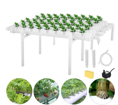 Hydroponic System Grow Kit