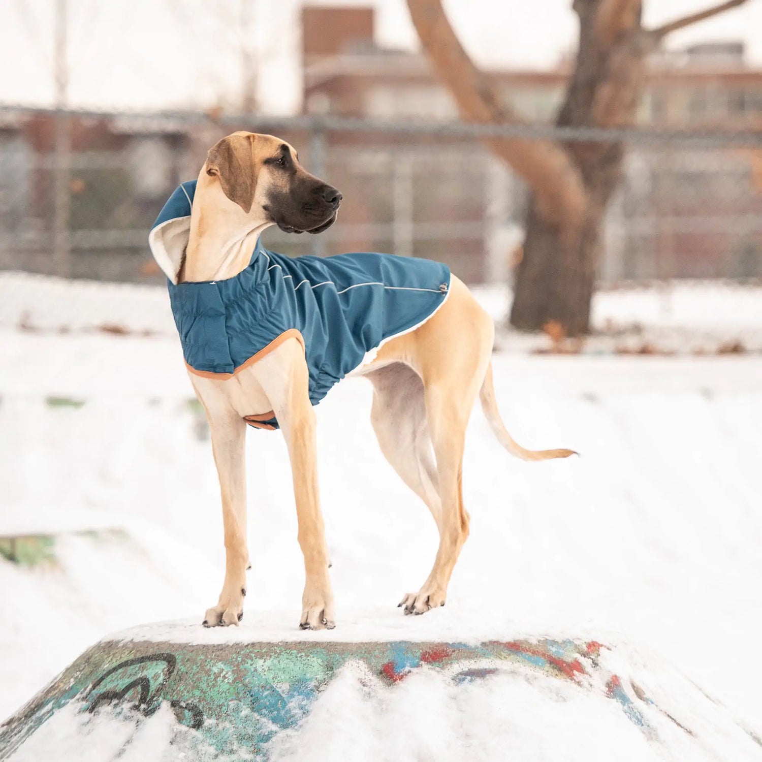 Insulated Raincoat - Dark Blue