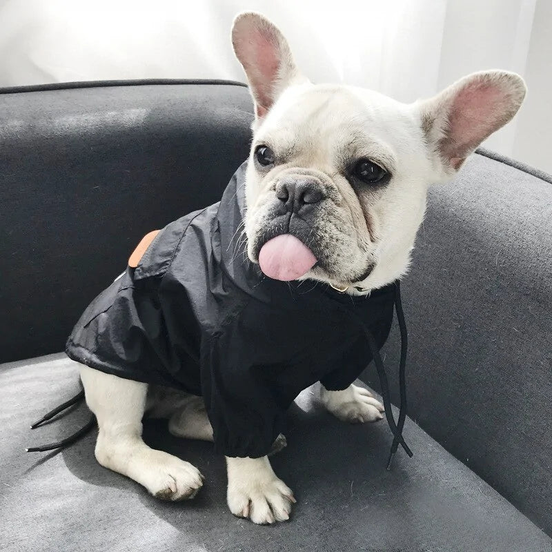 Small Dog Sport Jacket