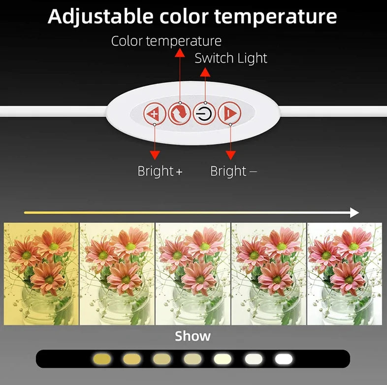 Portable Photography Photo Studio LED Light Box