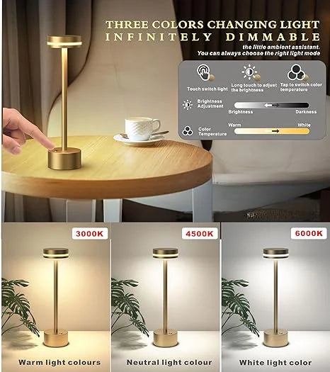 Cordless Table Lamp