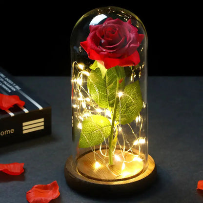 Galaxy Rose Eternal Lamp