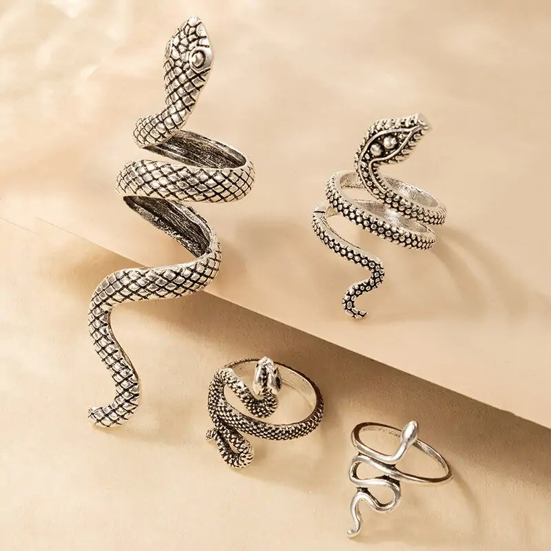 Texture Snake Ring Set