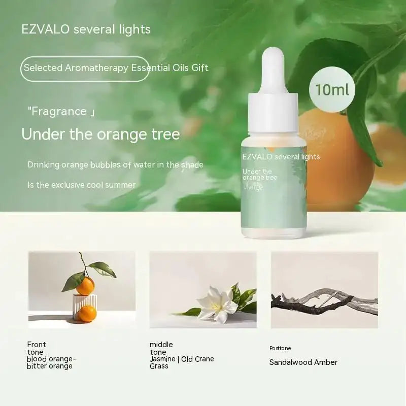 Ezvalo Aromatherapy Speaker Ambient Lamp